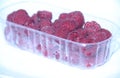 Raspberry fruit box isolated white background vitamin Sao Paulo Brazil Royalty Free Stock Photo
