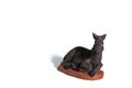 Crib donkey, white background Royalty Free Stock Photo