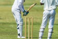 Cricket Action Batsman Wicket Keeper Abstract Royalty Free Stock Photo