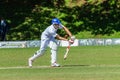 Cricket Action Sport Royalty Free Stock Photo