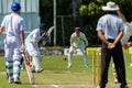 Cricket Action Sport
