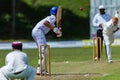 Cricket Action Sport Royalty Free Stock Photo