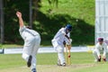 Cricket Action Sport Royalty Free Stock Photo