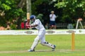 Cricket Action Sport