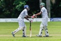 Cricket Action Sport Royalty Free Stock Photo