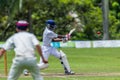 Cricket Action Sport Royalty Free Stock Photo