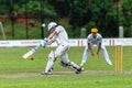 Cricket Action Sport Royalty Free Stock Photo