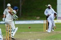 Cricket Action Sport Royalty Free Stock Photo