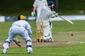 Cricket Action Sport Royalty Free Stock Photo