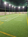 Cricket Arena with flood light and green grass