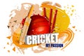 Cricket background with bat, ball and stump wicket