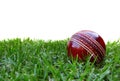 Cricket Ball