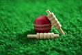 Cricket ball and bails on green grass pitch