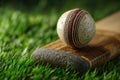 Cricket ball on cricket bat grass Royalty Free Stock Photo