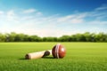 Cricket ball and bat on green grass with blue sky background - Ai Generated