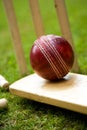 Cricket ball bat & stumps