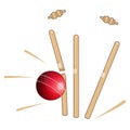 Cricket Ball - Bowled Action - Illustration Royalty Free Stock Photo