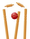 Cricket ball caught in the wicket vector illustration Royalty Free Stock Photo