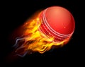 Cricket Ball on Fire