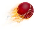 Cricket Ball with Flame or Fire Concept