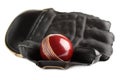Cricket ball and glove. Royalty Free Stock Photo