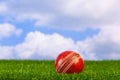 Cricket ball on grass