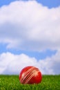 Cricket ball on grass Royalty Free Stock Photo