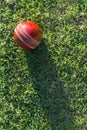 Cricket Ball On Grass Royalty Free Stock Photo