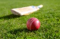 Cricket ball Royalty Free Stock Photo
