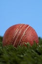 Cricket ball on grass with blue sky Royalty Free Stock Photo