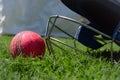 Cricket ball on grass. Helmet on grass. Cricket helmet isolated. Cricket equipments isolated on a white background Royalty Free Stock Photo