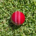 Red Cricket Ball on green grass Royalty Free Stock Photo