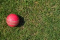 Cricket ball on a green grass. Cricket equipment isolated on a green background.