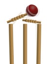 Cricket Ball Hitting the Wicket Illustration