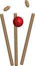 Cricket Ball Hitting Wickets Royalty Free Stock Photo