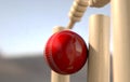 Cricket Ball Hitting Wickets Royalty Free Stock Photo