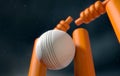 Cricket Ball Hitting Wickets Royalty Free Stock Photo