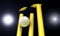 Cricket Ball Hitting Wickets At Night