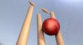 Cricket Ball Hitting Wickets Royalty Free Stock Photo