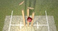 Cricket Ball Hitting Wickets Royalty Free Stock Photo