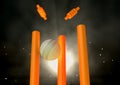 Cricket Ball Hitting Wickets Royalty Free Stock Photo