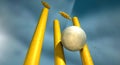 Cricket Ball Hitting Wickets Royalty Free Stock Photo