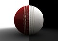 Cricket Ball Split Between Formats