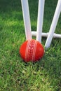 Cricket Ball and Stumps