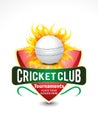 Cricket banner background with flame Royalty Free Stock Photo