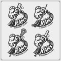 Cricket, baseball, lacrosse and hockey logos and labels. Sport club emblems with rams.
