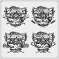 Cricket, baseball, lacrosse and hockey logos and labels. Sport club emblems with scorpion. Print design for t-shirt.