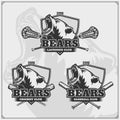 Cricket, baseball and lacrosse logos and labels. Sport club emblems with grizzly bear. Print design for t-shirts.