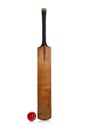 Cricket bat and ball Royalty Free Stock Photo
