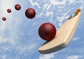 Cricket Bat With Ball Flight Path